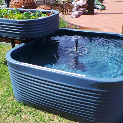 Home aquaponics kit australia Must see ~ Waters sistem