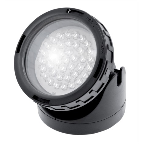 White Light - Garden or Underwater - Woodvale Fish & Lily Farm Perth