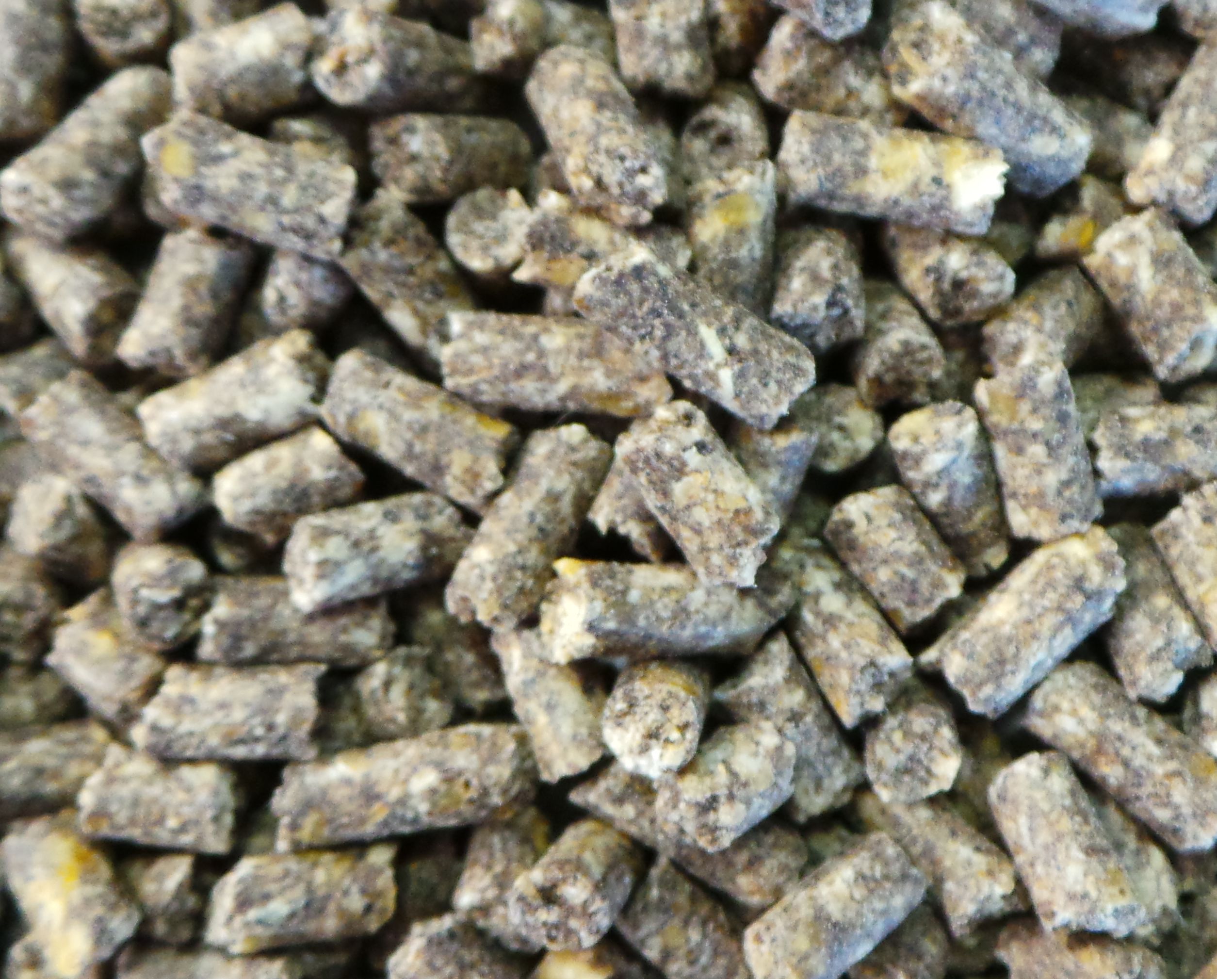 Sinking Fish Food (Includes Postage) - Woodvale Fish & Lily Farm Perth