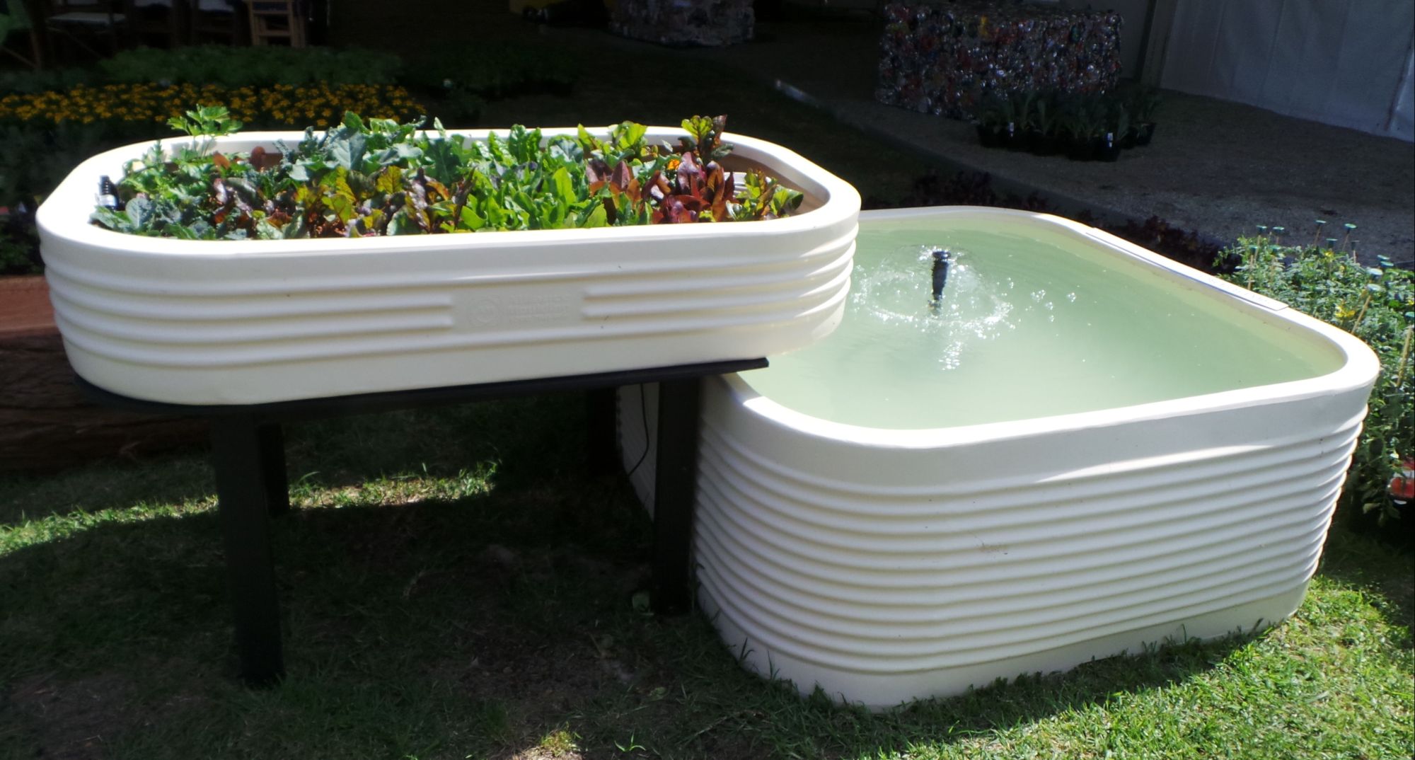 Home aquaponics systems for sale