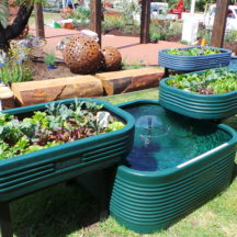 Aquaponics Products