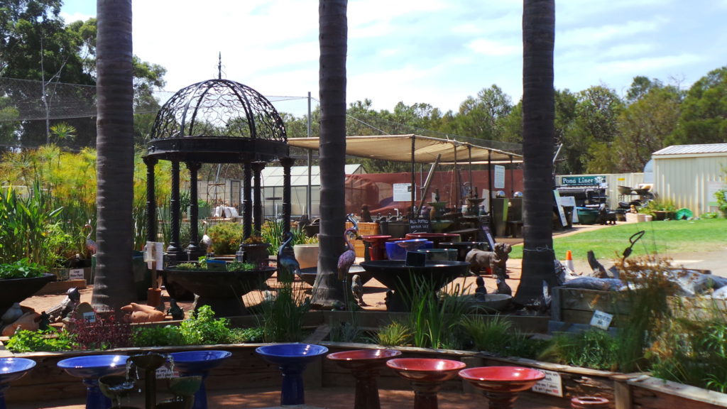 About Woodvale Fish and Lily Farm Perth, WA