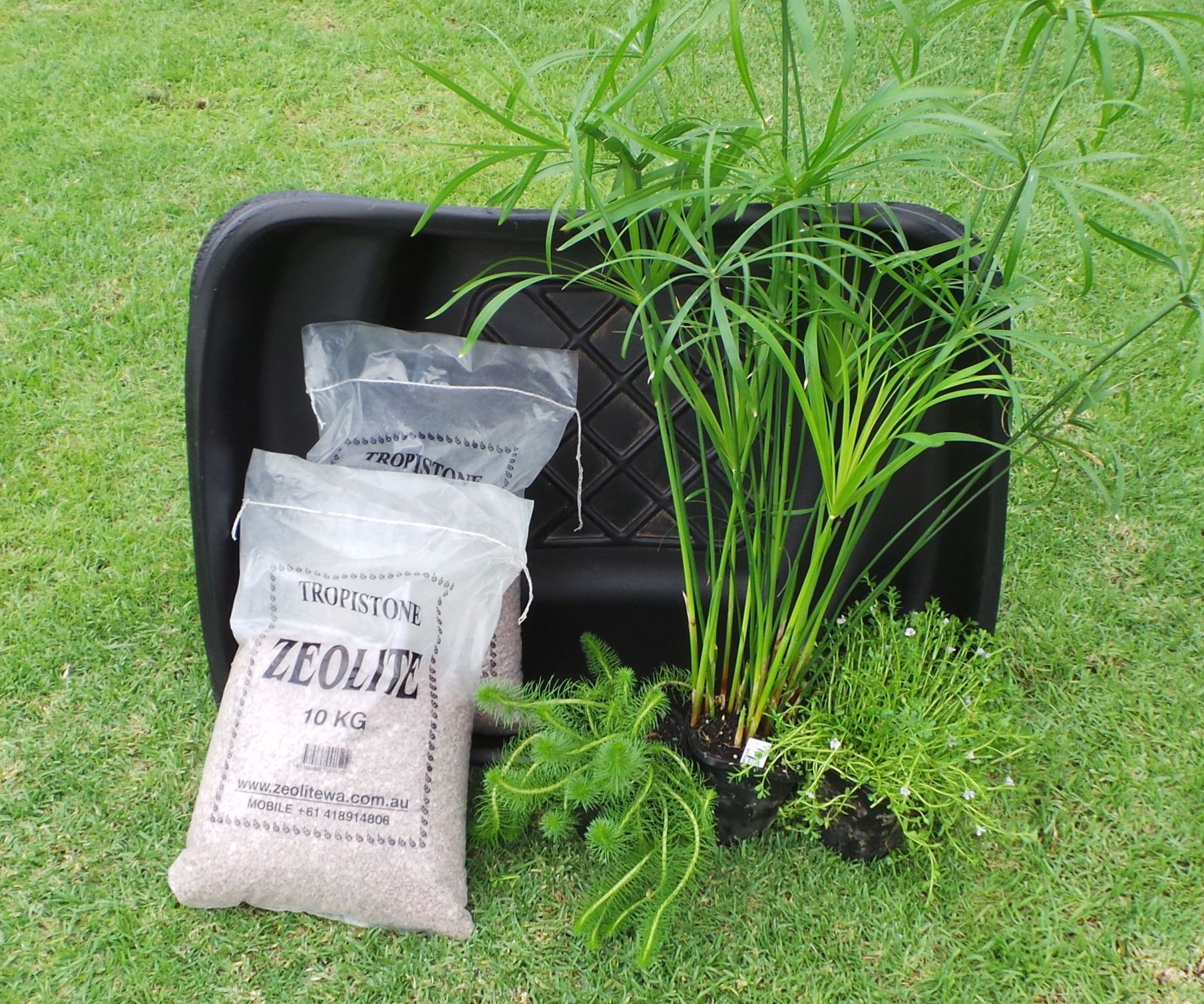 Frog Pond Kit Small 120lt Woodvale Fish & Lily Farm Perth