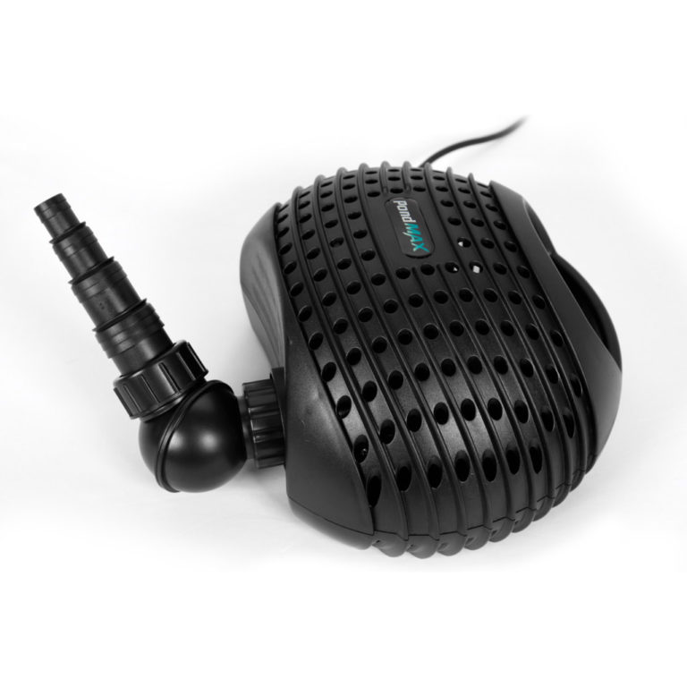 Buy Online Fish, Plants, Ponds, Pumps & Aquaponics Perth & Australia