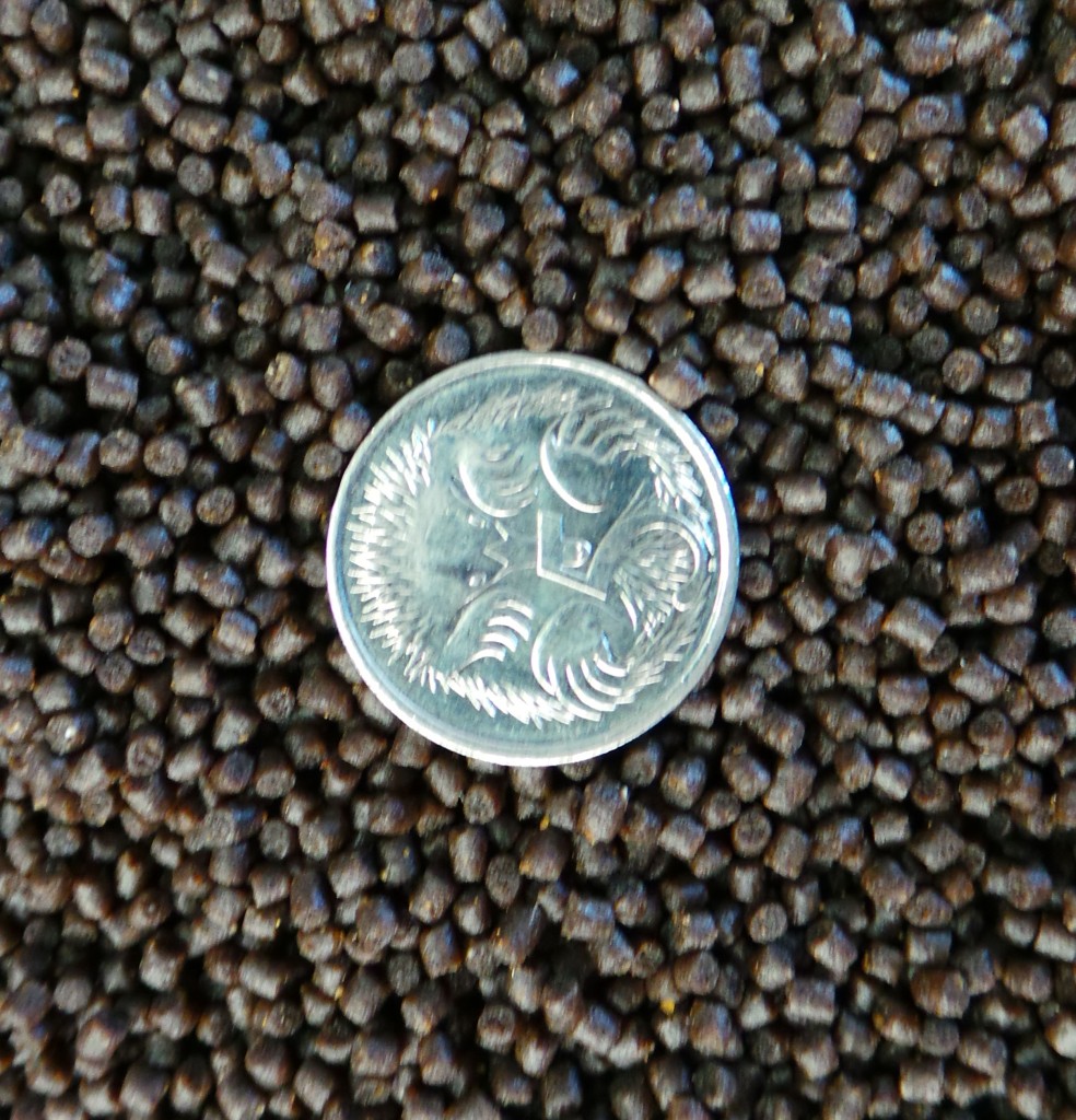 high protein semi-sinking baby fish food 1.8mm incl