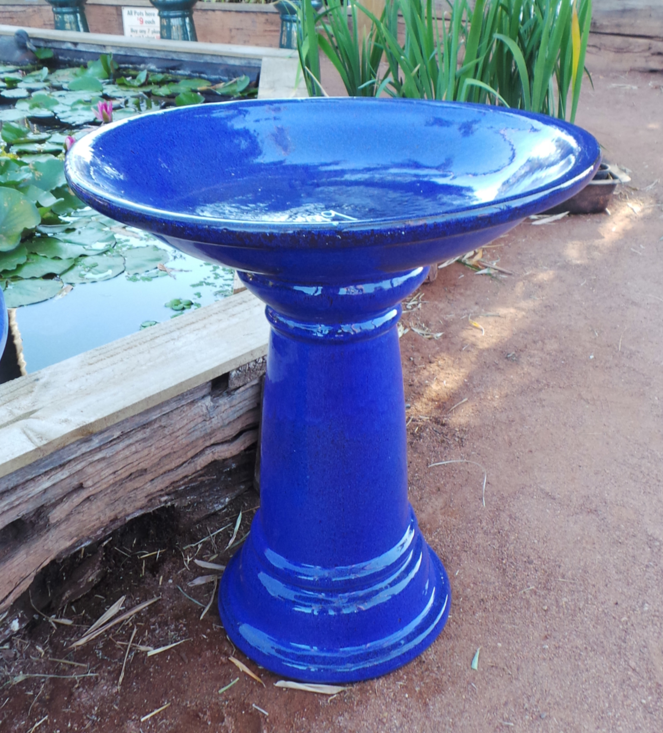 Aquaponics australia Is this the answer to South Africa’s drought?