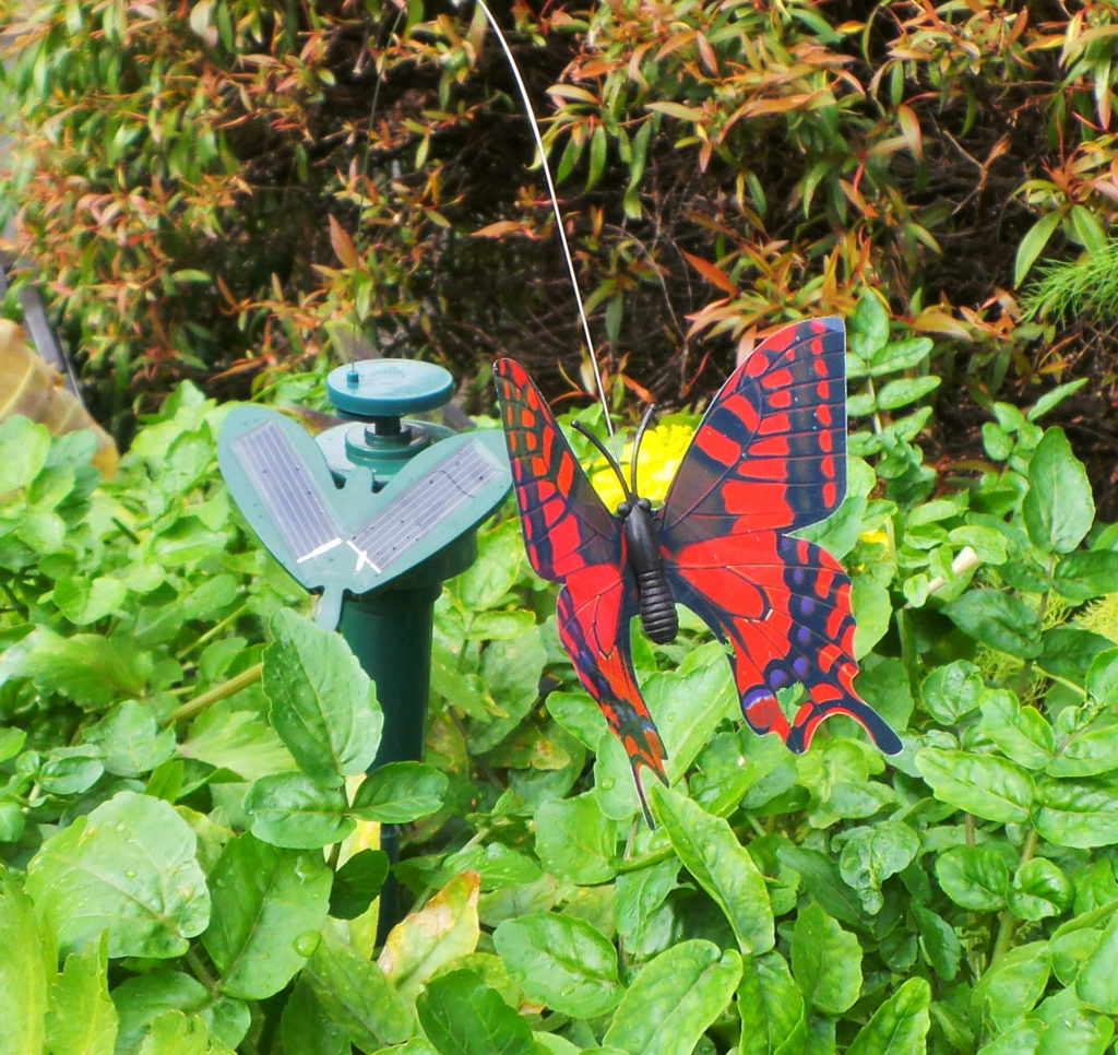 Solar Fluttering Butterfly Woodvale Fish & Lily Farm Perth