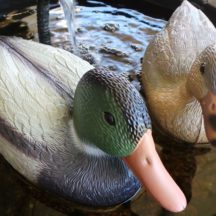 nutrifield coco nutrient - 20ltr set - a+b - 20% off in