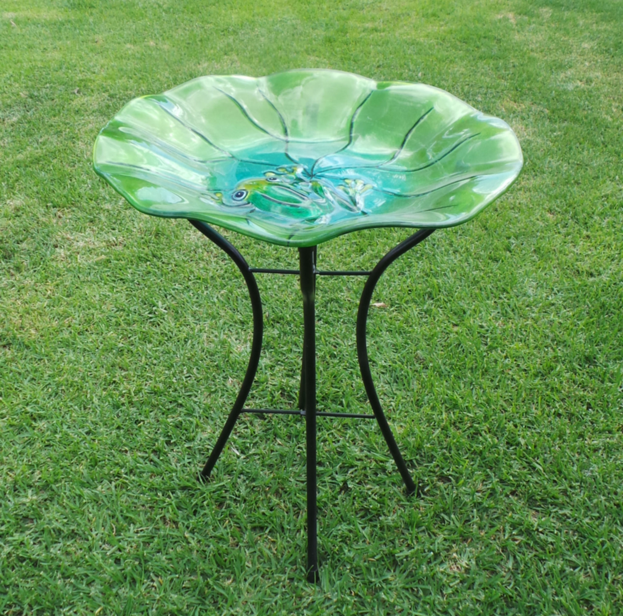 Glass Top Frog Bird Bath - IN STOCK END OF APRIL - Woodvale Fish & Lily