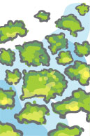 Algae title=