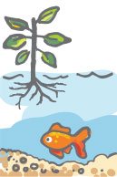 Aquaponics title=