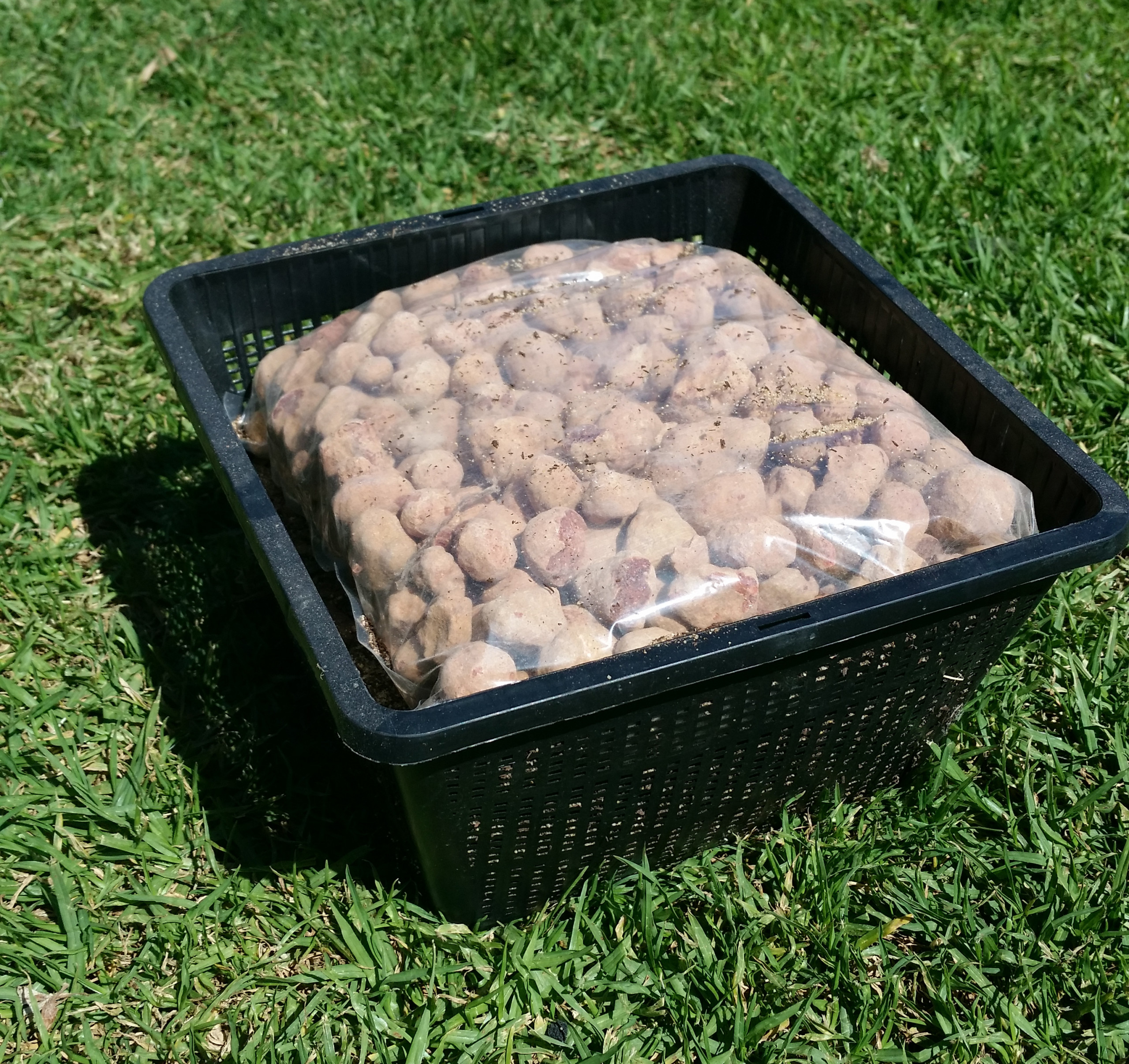 Water Lily Potting Kit Woodvale Fish & Lily Farm Perth