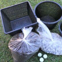 Water Lily Potting Kits