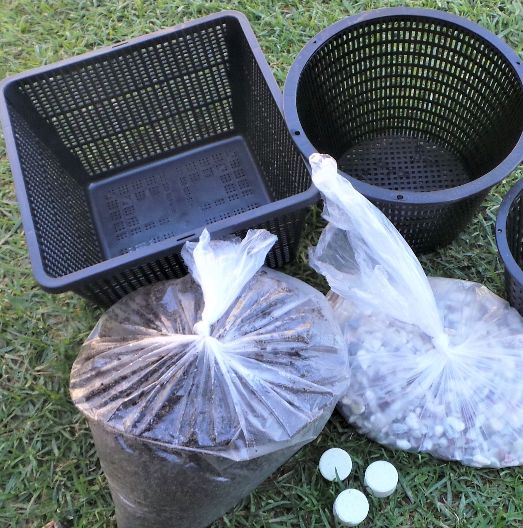 Water Lily Potting Kits