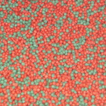 Skretting Fish Food Price Skretting Fish Food Price
